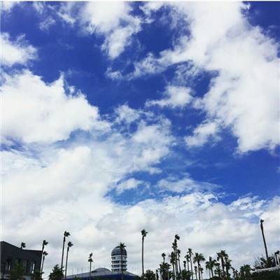 Bsport体育官方下载入口