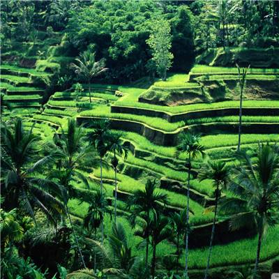 麻将胡了pg网页版APP下载