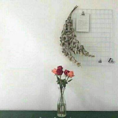 皇冠新体育手机app下载截图